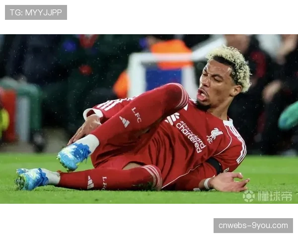 利物浦前锋埃基蒂克确诊跟腱断裂，将缺席2026年世界杯
